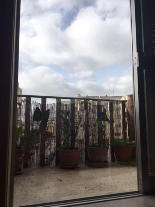 26/3 Casa Da Musica Apartment Порто Екстериор снимка